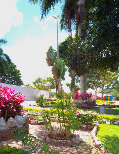 istock Little Garden at Sun 1467375862