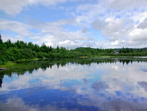 Water reflection stock photo