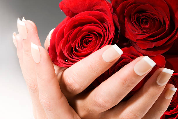 istock Woman hands with red roses 146737706