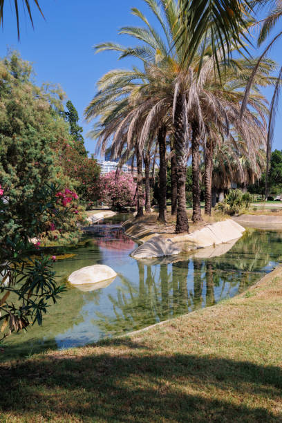istock Small Artificial Pond in Turia Park with Palm Trees and Flowers 1467377810