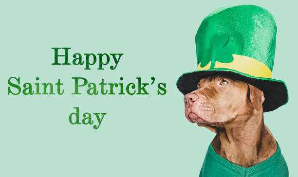 istock Puppy and a bright green leprechaun hat 1467377816