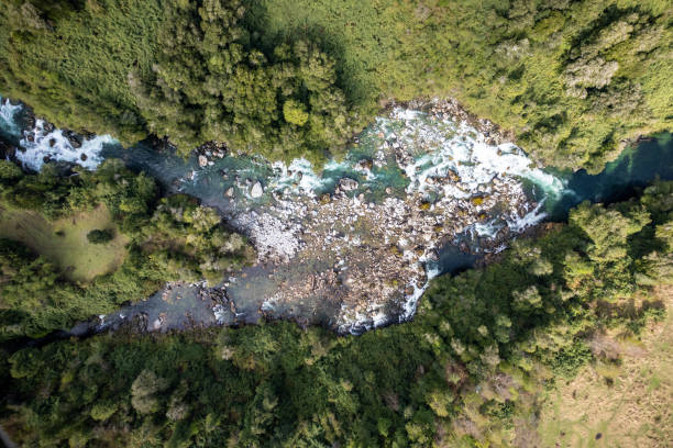 istock Aerial view of a confluence in the forest 1467377983