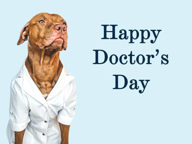 happy doctor's day. lovable, pretty puppy. closeup - 13427 imagens e fotografias de stock