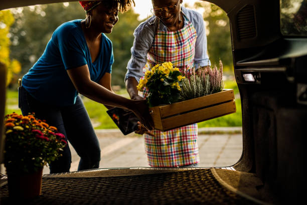 istock Two diligent florists loading potted flowers in a car trunk for home delivery 1467380466