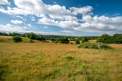 Rolling Landscape at Eridge Green in East Sussex, England