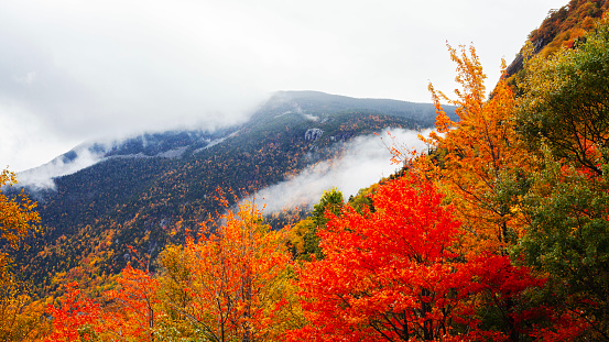 Brilliant fall foliage and rugged Mount Washington, the centerpiece of the Presidential Mountain Range in the White Mountains of New Hampshire. Steep prominent bowl-shaped depression is Huntington Ravine.