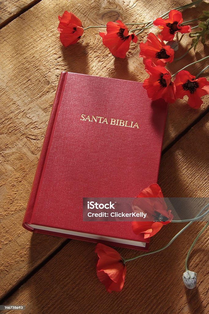 Santa Biblia espanhol para Bíblia Sagrada - Foto de stock de Bíblia royalty-free