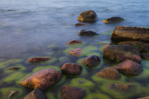 Baltic sea coast with stones covered by seaweed. Blue hour time. Long exposure.