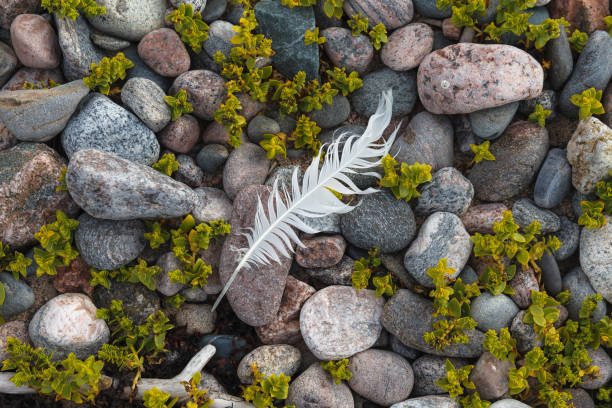 A single clean white feather lying on a multi-coloured mottled and textured background.