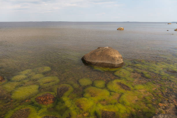 Boulders on the Baltic sea coast. Daytime.