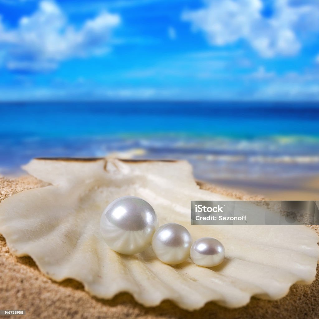 Tre perle con shell - Foto stock royalty-free di Perla - Gioielli