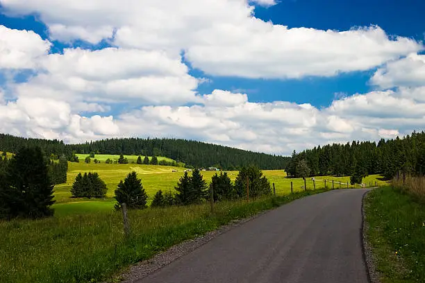 Rural road in the black forest low mountain range (Schwarzwald, Germany)