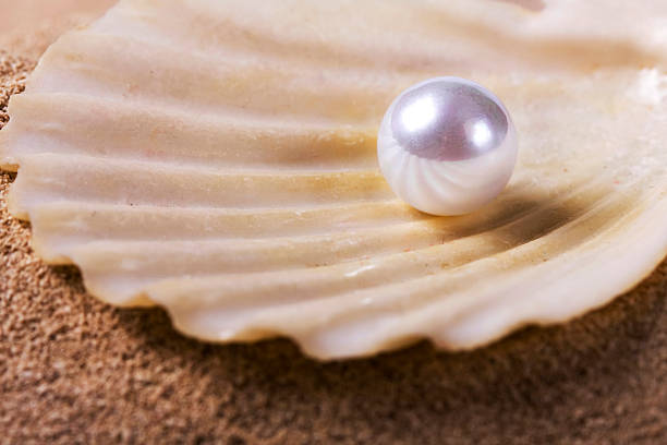 istock Pearl on a beige seashell over the sand 146738985