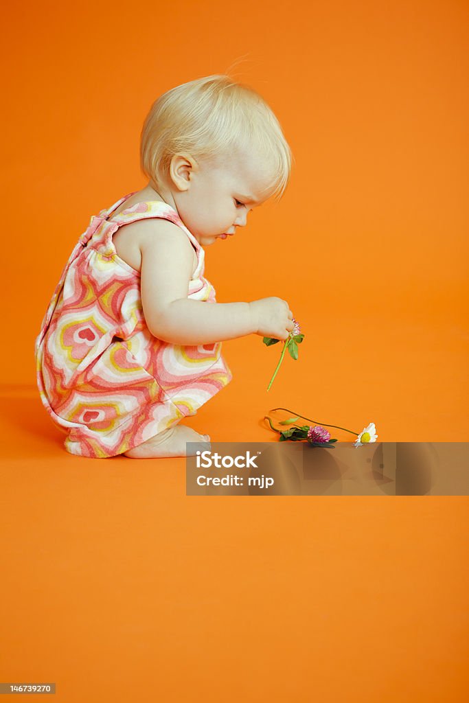 Bambino ragazza raccogliendo fiori - Foto stock royalty-free di Ambientazione interna
