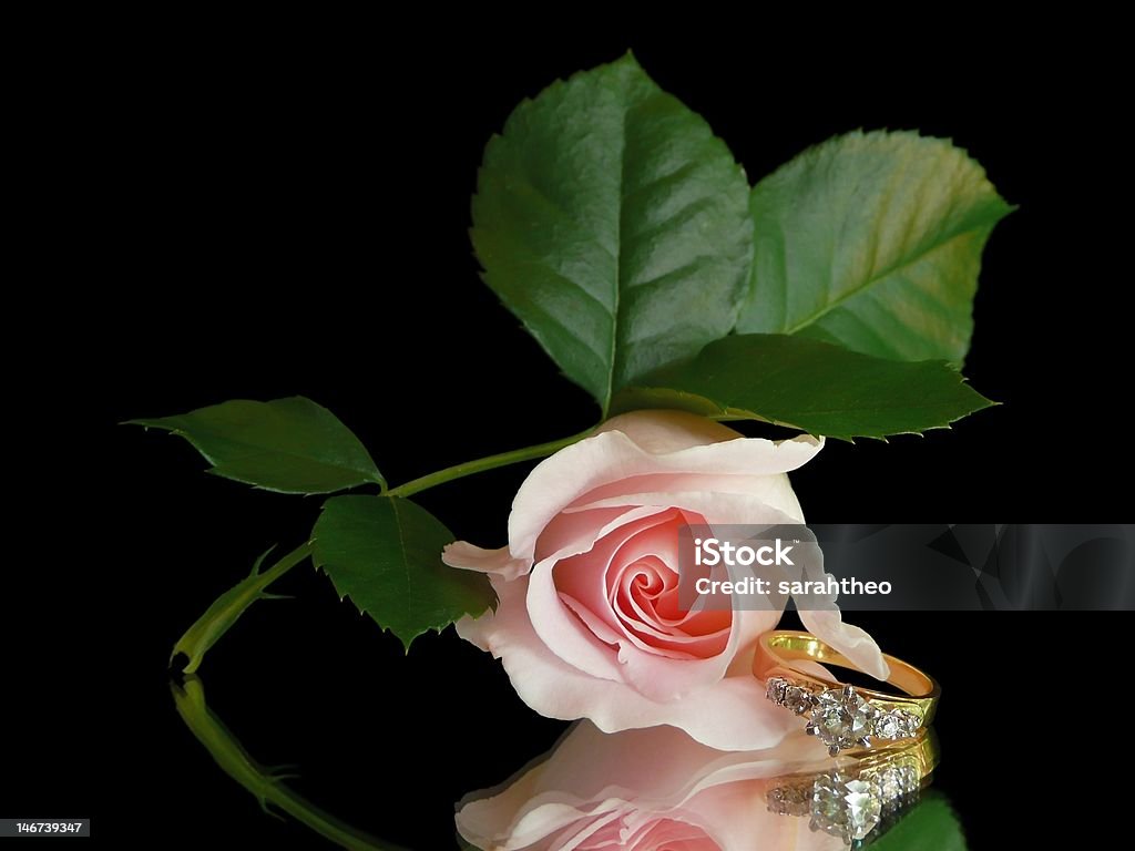 Liebe und Rose in Stillleben - Lizenzfrei Diamant Stock-Foto