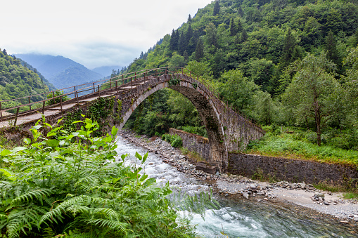 Old stone bridge and a powerful river in Rize province in Turkey