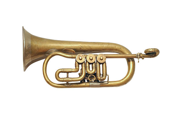 istock Old vintage musical instrument isolated 146739761
