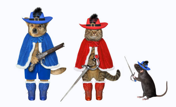 istock Cat with rat and dog are musketeers 1467398328