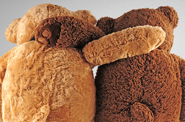 istock Beary good friends 146739988