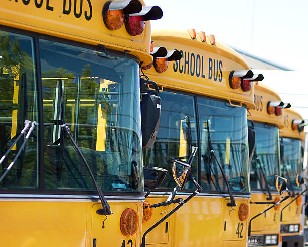 Four school buses stock photo