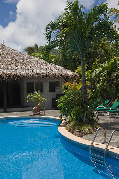 istock Swimming Pool at Tourist Resort 146740223
