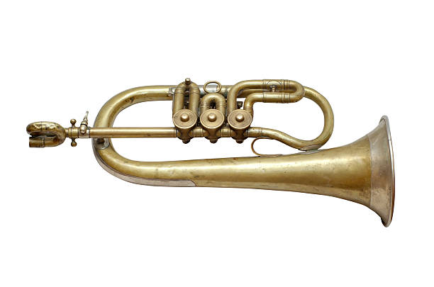 istock Old vintage musical instrument isolated 146740275