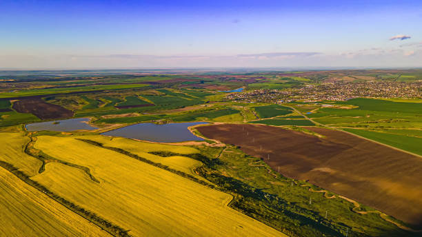 istock Aircraft point view of rape field and lake 1467402968