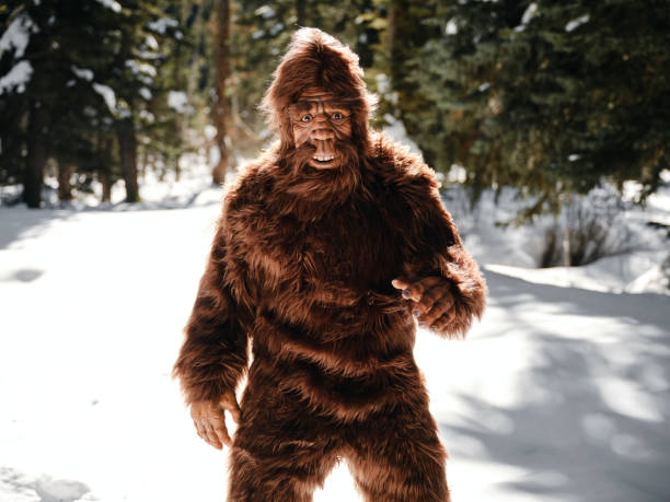 istock Sasquatch Bigfoot in a Winter Forest 1467404742