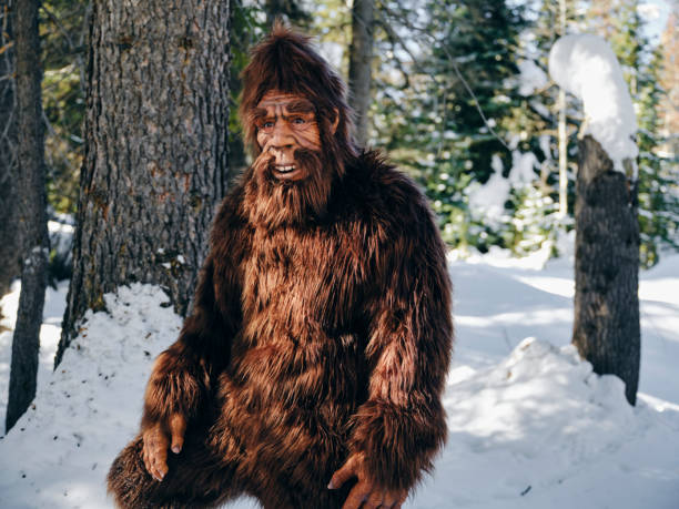 istock Sasquatch Bigfoot in a Winter Forest 1467404782