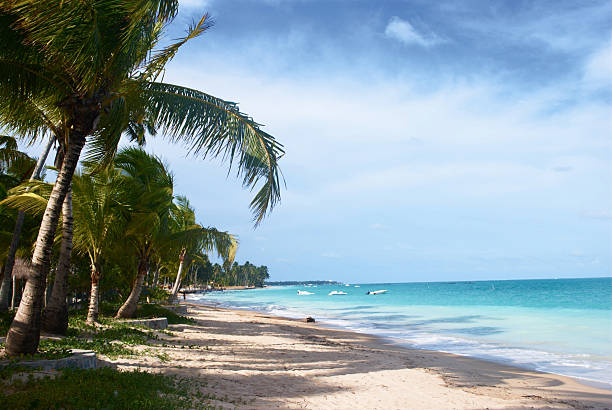 istock Tropical beach in Brazil 146740591