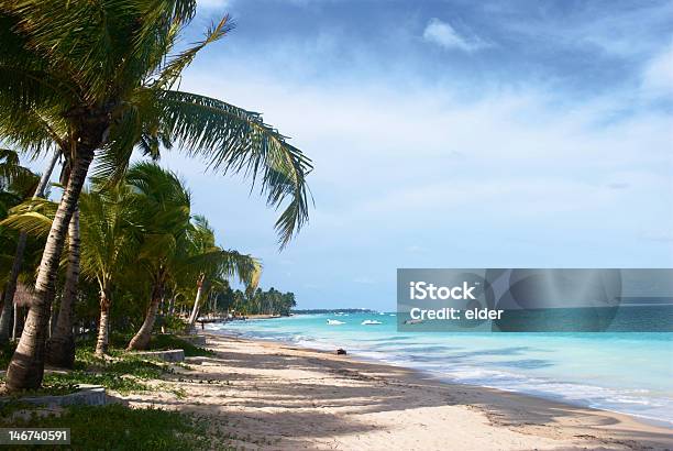 Tropical Beach In Brazil Stock Photo - Download Image Now - Beach, Blue, Brazil