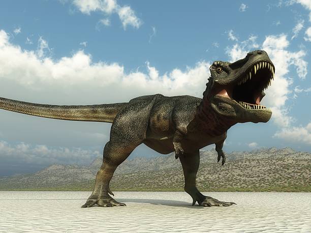 istock Roaring Tyrannosaur 146740729