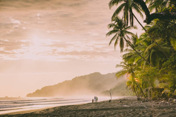 夕暮れ時のビーチとジャングル、コルコバード国立公園、コスタリカ - costa rican sunset ストックフォトと画像