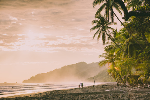 Beach and jungle at sunset, Corcovado National Park, Costa Rica