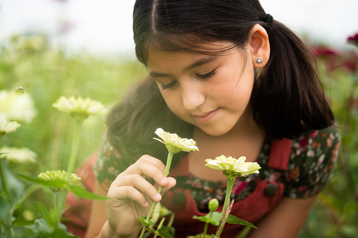 Eight years old latin girl smelling a flower on a field