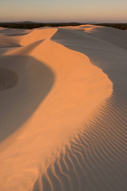 Desert sunset stock photo