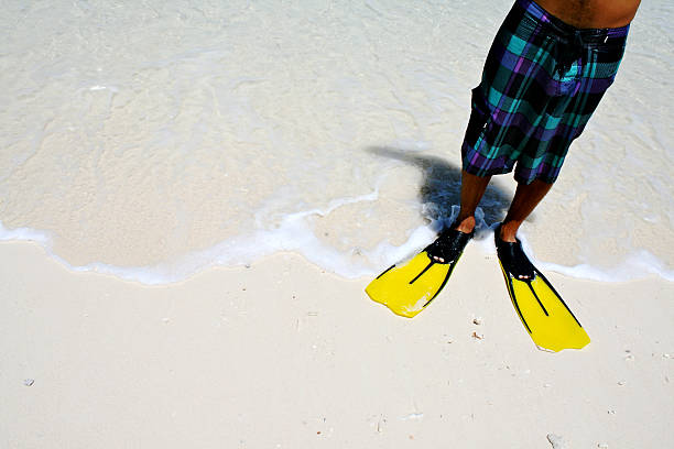 Man with flippers in shore line stock photo