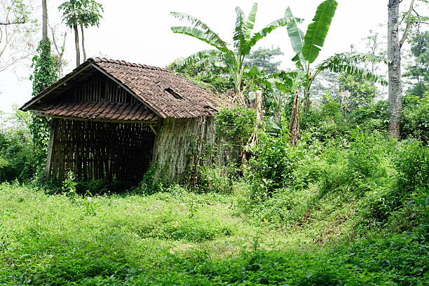 istock Vintage Indonesian Barn 146741270