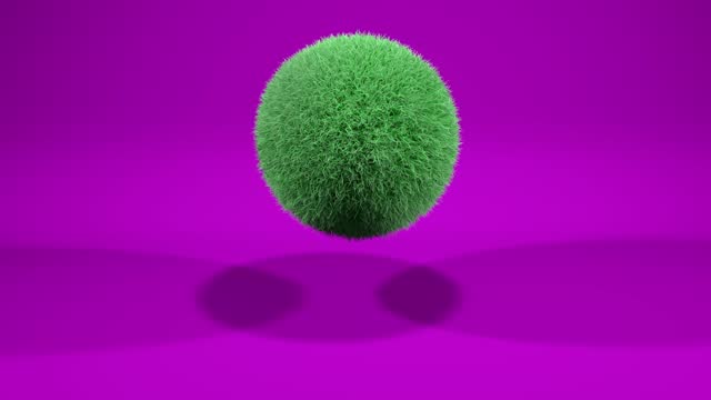 Feathered Bouncing Grass Ball