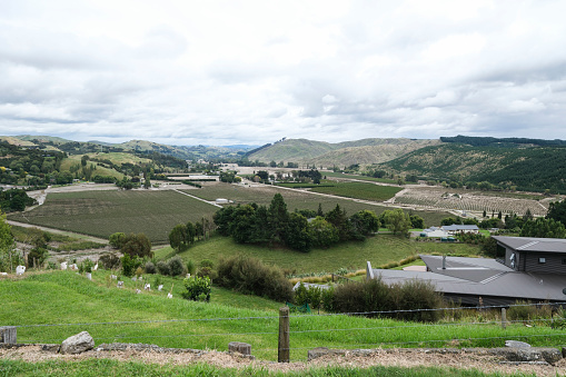 Cyclone Gabrielle caused major damages to vineyards and orchards in Eskdale, Napier, Hawkes Bay  and to infrastructure in Napier city on the evening of Tuesday 15 February 2023 Photos by Bruce Jenkins