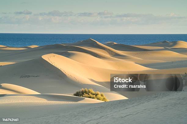 Beach Dunes Near The Water At Sunset Stock Photo - Download Image Now - Atlantic Islands, Beach, Blue