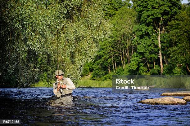 Pesca Con Mosca Foto de stock y más banco de imágenes de Actividades recreativas - Actividades recreativas, Adulto, Agua