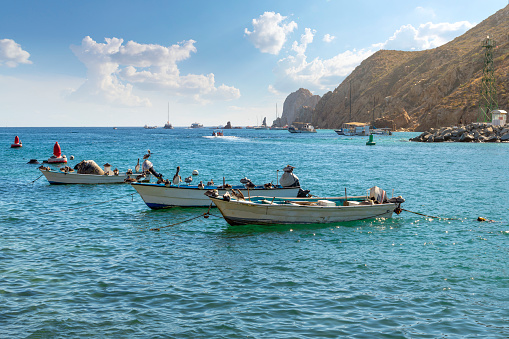 Pelicans enjoy relaxing on fishing boats in the sun with the El Arco coastline behind at the port of Cabo San Lucas, Mexico.