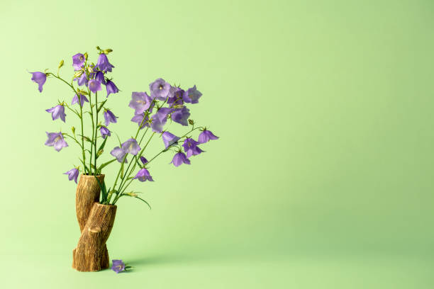 istock Bluebell flowers (Campanula) in a vase with space for copy 1467430325