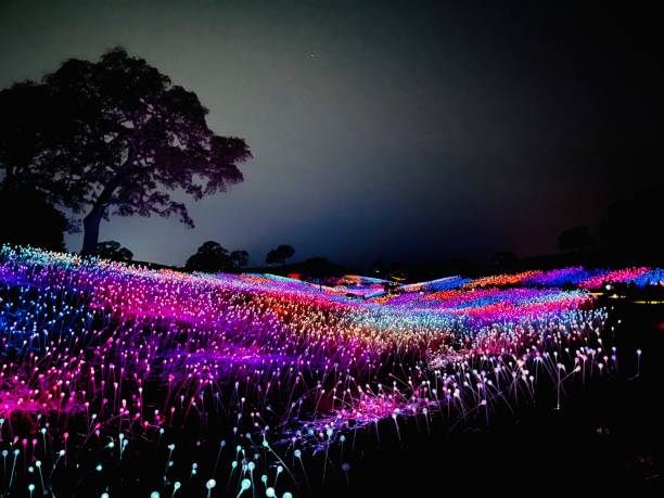 istock Light Show at Paso Robles 1467434223