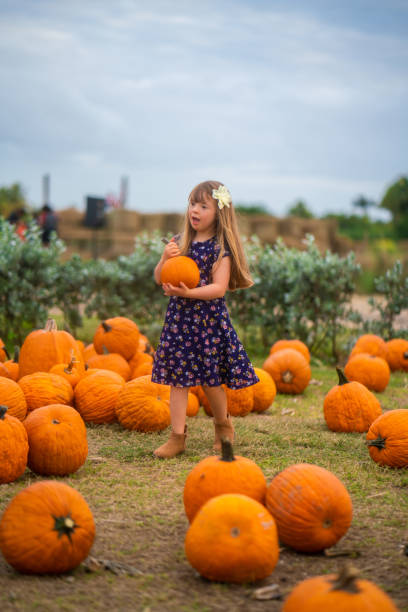 kleines mädchen findet den besten kürbis des pflasters - pumpkin child little girls pumpkin patch stock-fotos und bilder