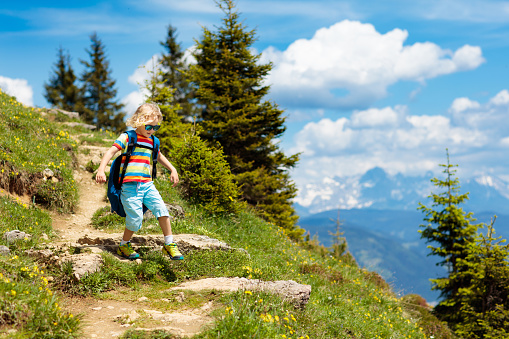 Children hiking in Alps mountains. Kids look at snow covered mountain in Austria. Spring family vacation. Little boy on hike trail in blooming alpine meadow. Outdoor fun and healthy activity.