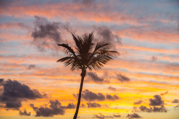 istock Sunrise in Islamorada Florida 1467435862