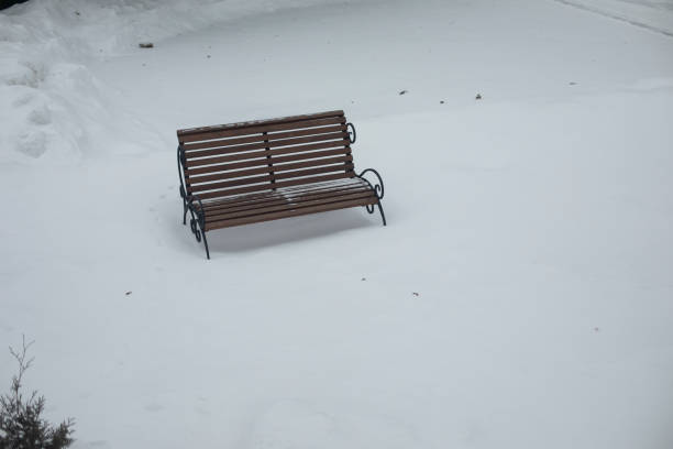 A snow-covered park bench sits alone in a quiet, winter landscape in Budapest, Hungary. The heavy snowfall blankets the ground and trees, creating a peaceful and serene scene that evokes feelings of tranquility and cold solitude.