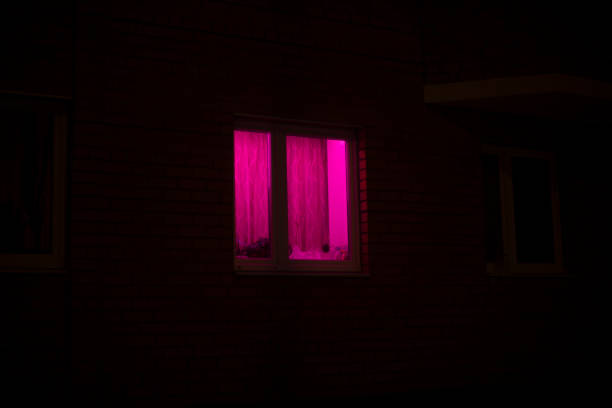 istock Rose window at night. Pink light in house. 1467436562